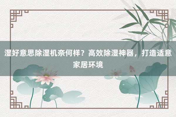 湿好意思除湿机奈何样？高效除湿神器，打造适意家居环境